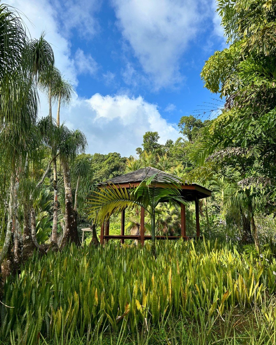 Im Herzen von Valombreuse lädt Sie jeder Atemzug der Natur zur Entspannung ein.🦋🌳

Worauf warten Sie noch, um die Routine zu durchbrechen und sich im Garten zu erholen?📲 ticket.valombreuse.com

#jardindevalombreuse #petitbourg #balade #tr