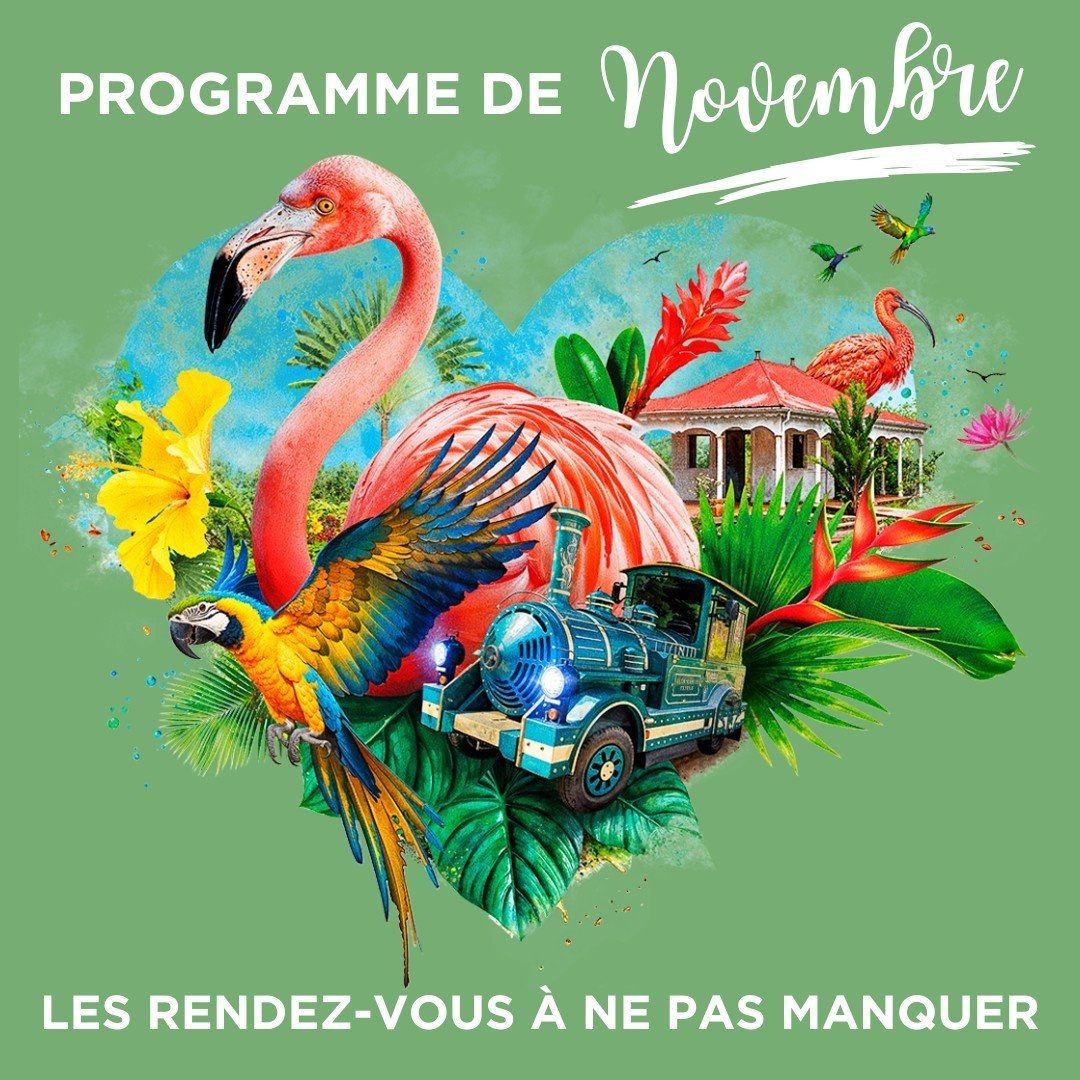 🍃 Novemberprogramm in Valombreuse! 🍃

- Animation am 11/11: Reservierung erforderlich!
- Animation am 13.11.: Reservierung erforderlich!
- Wandermesse: Ohne Reservierung, offen &agr