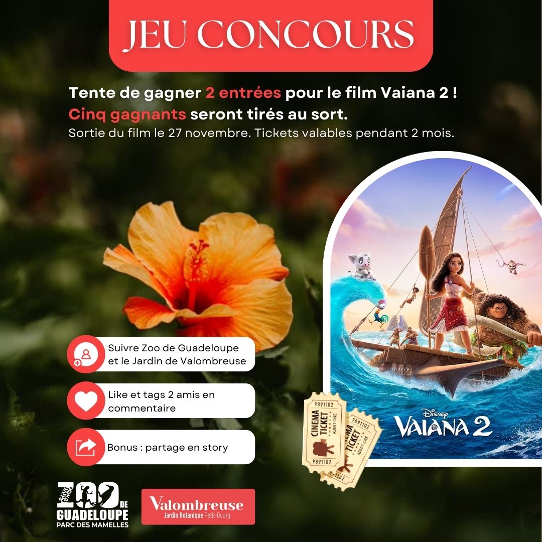 🎉 𝐉𝐞𝐮 𝐂𝐨𝐧𝐜𝐨𝐮𝐫𝐬 🎥✨ 🎥.

Der @zooguadeloupe und der @jardindevalombreuse bieten dir die Chance, 2 Eintrittskarten zu gewinnen, um den heiß ersehnten Vaiana 2 zu sehen! 🌺

𝐂𝐨𝐦𝐦𝐞𝐧𝐭 𝐩𝐚𝐫𝐭𝐢𝐜𝐢𝐩𝐞𝐫? 
1️⃣ Folgen Sie dem Zoo in Gu