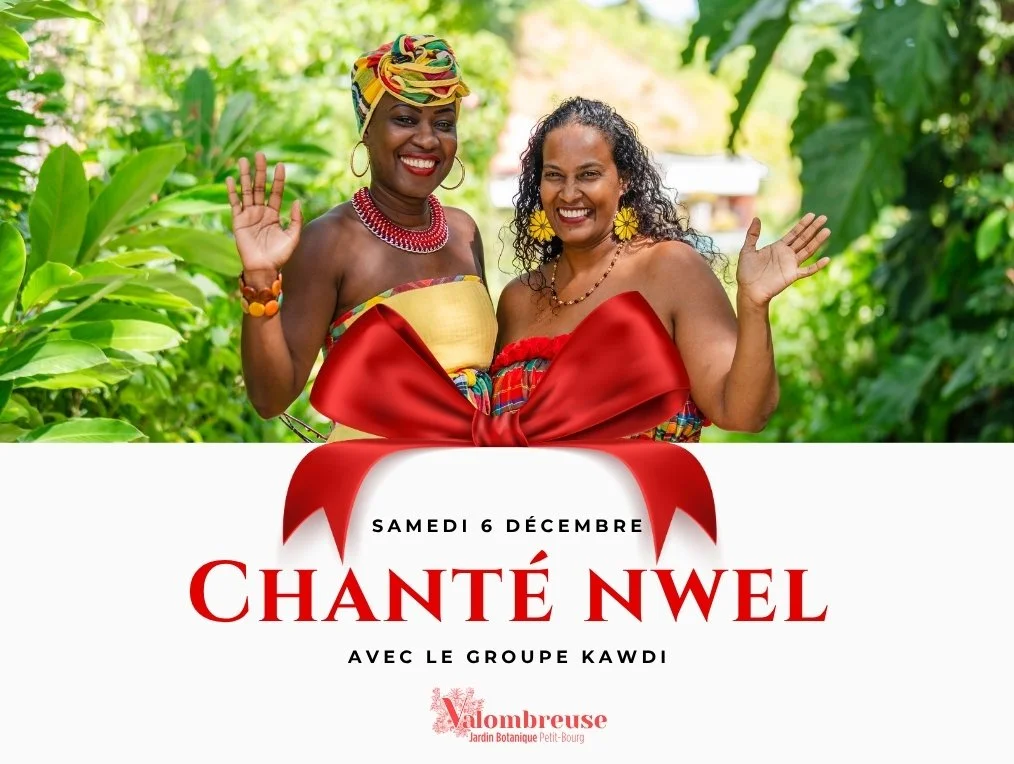 image site web JDV.jpg