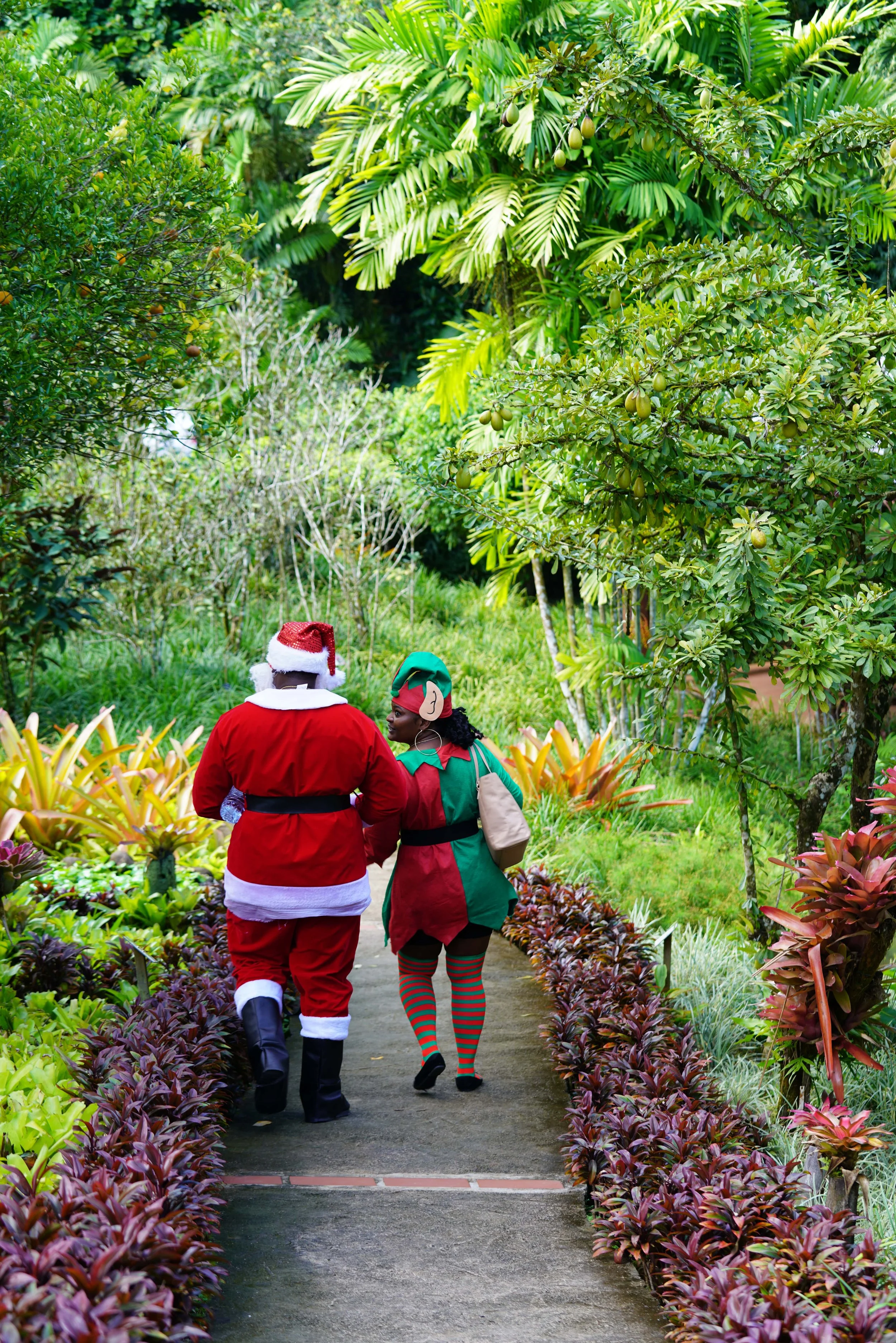 DSC03379-min (1).JPG