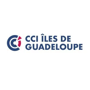 cci des iles de guadeloupe