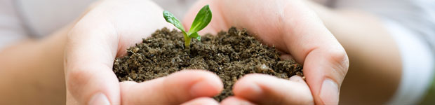 hands-holding-plant-shoot-in-soil-web.jpg