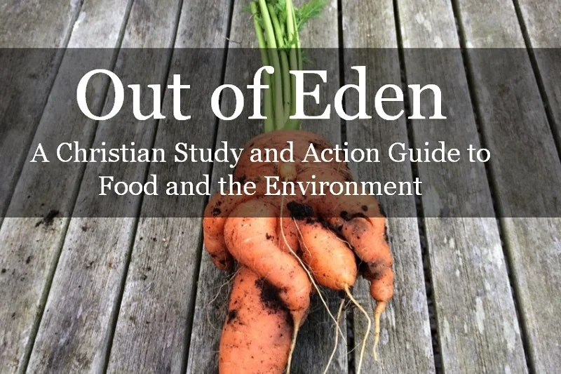 icon-curr-out-of-eden.jpg