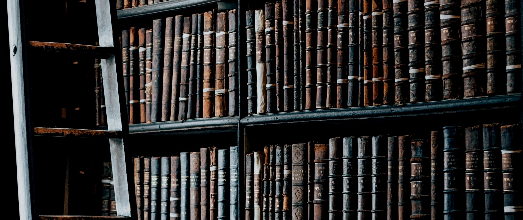 books_library_shelves_collection.jpg