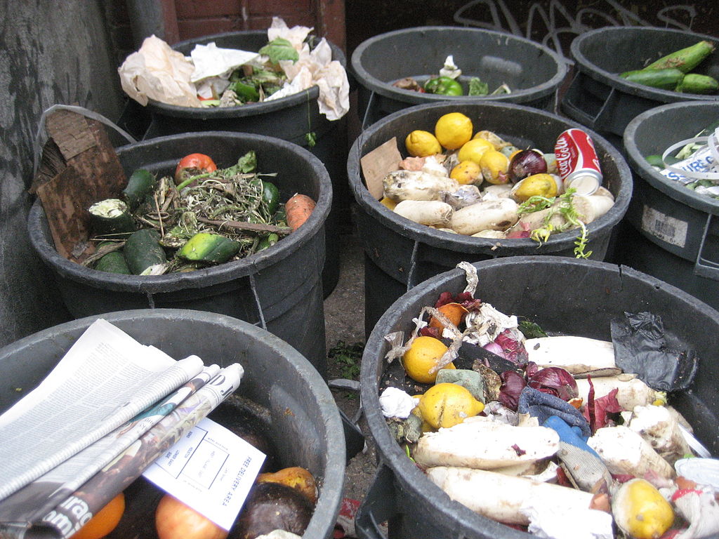 Food Waste