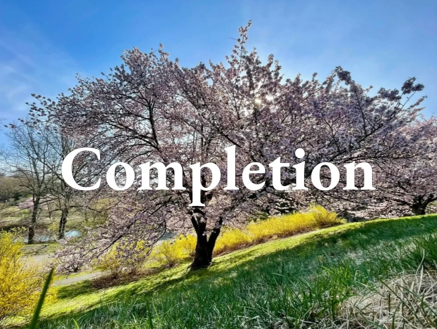 Completion