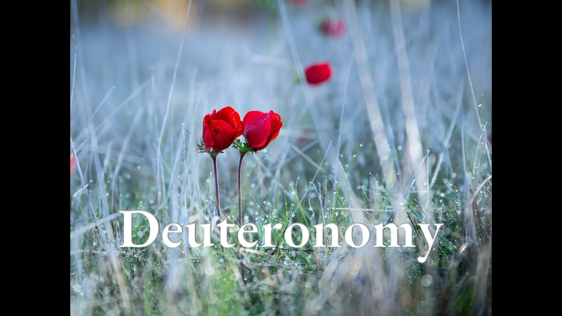 Deuteronomy