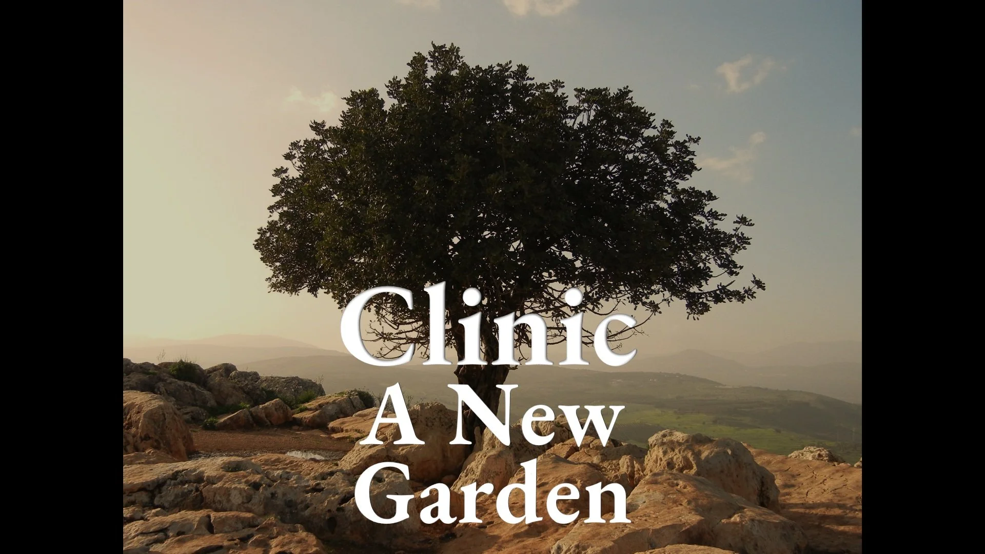 Clinic P3