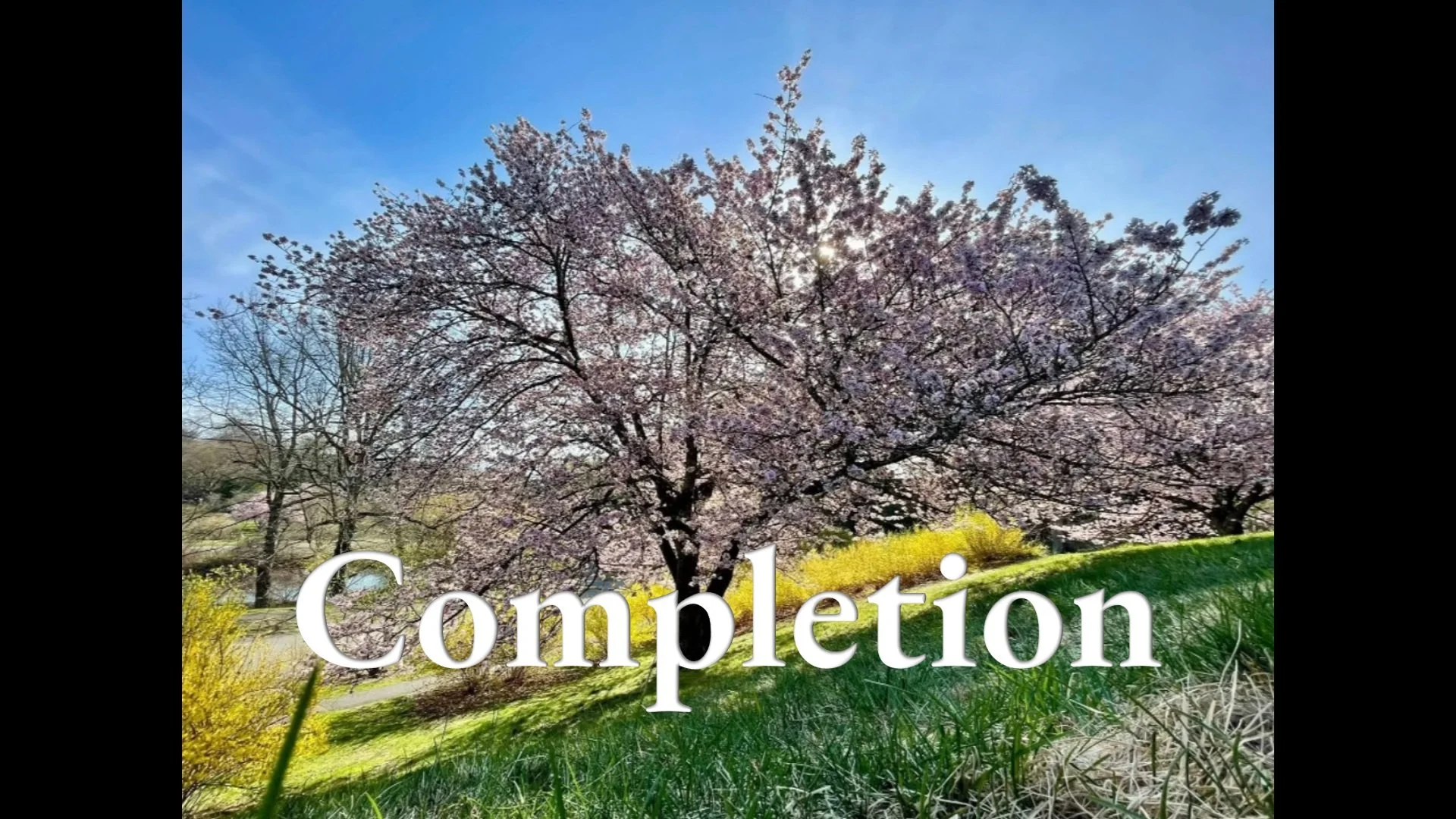 Completion