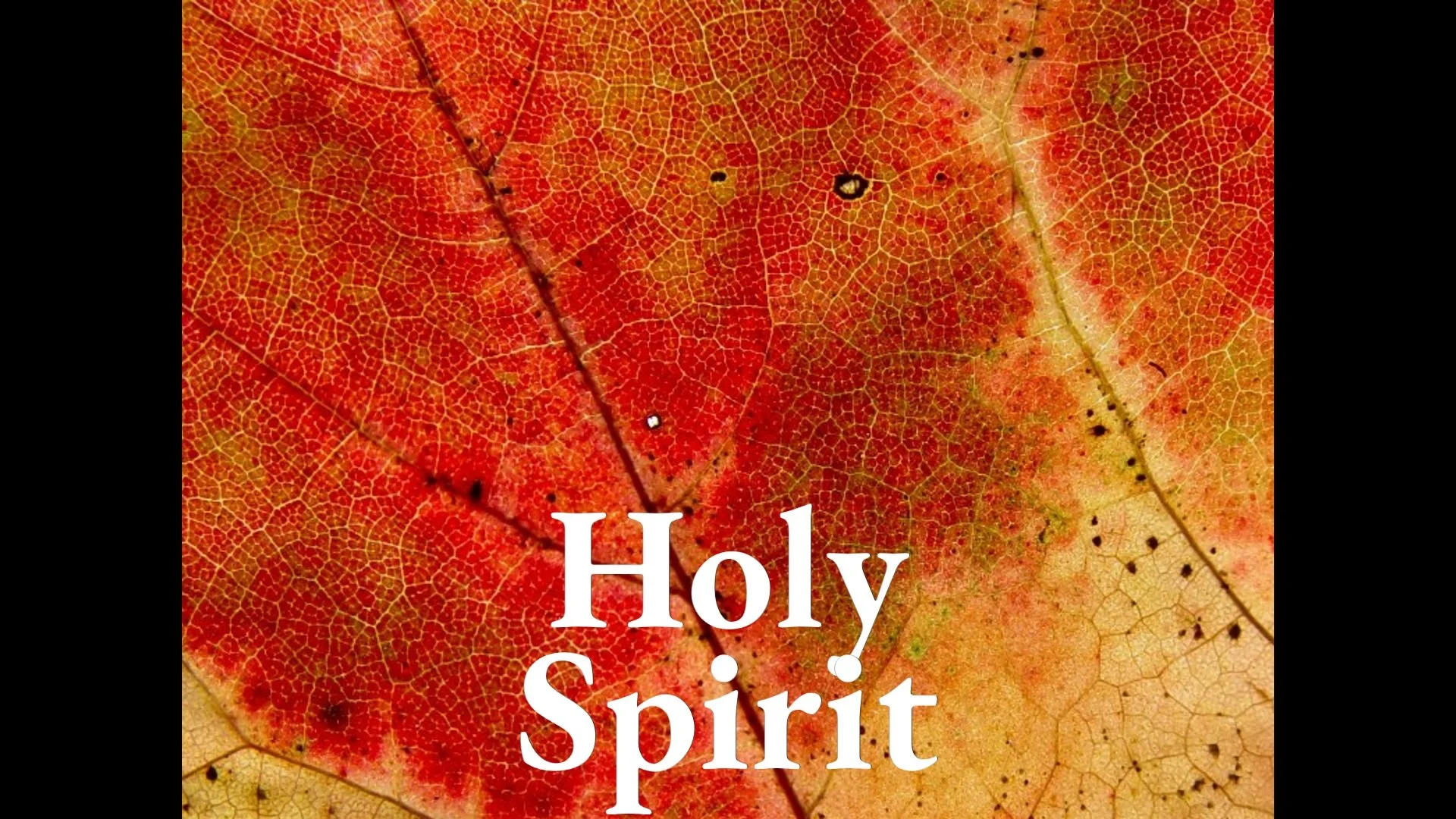 Holy Spirit