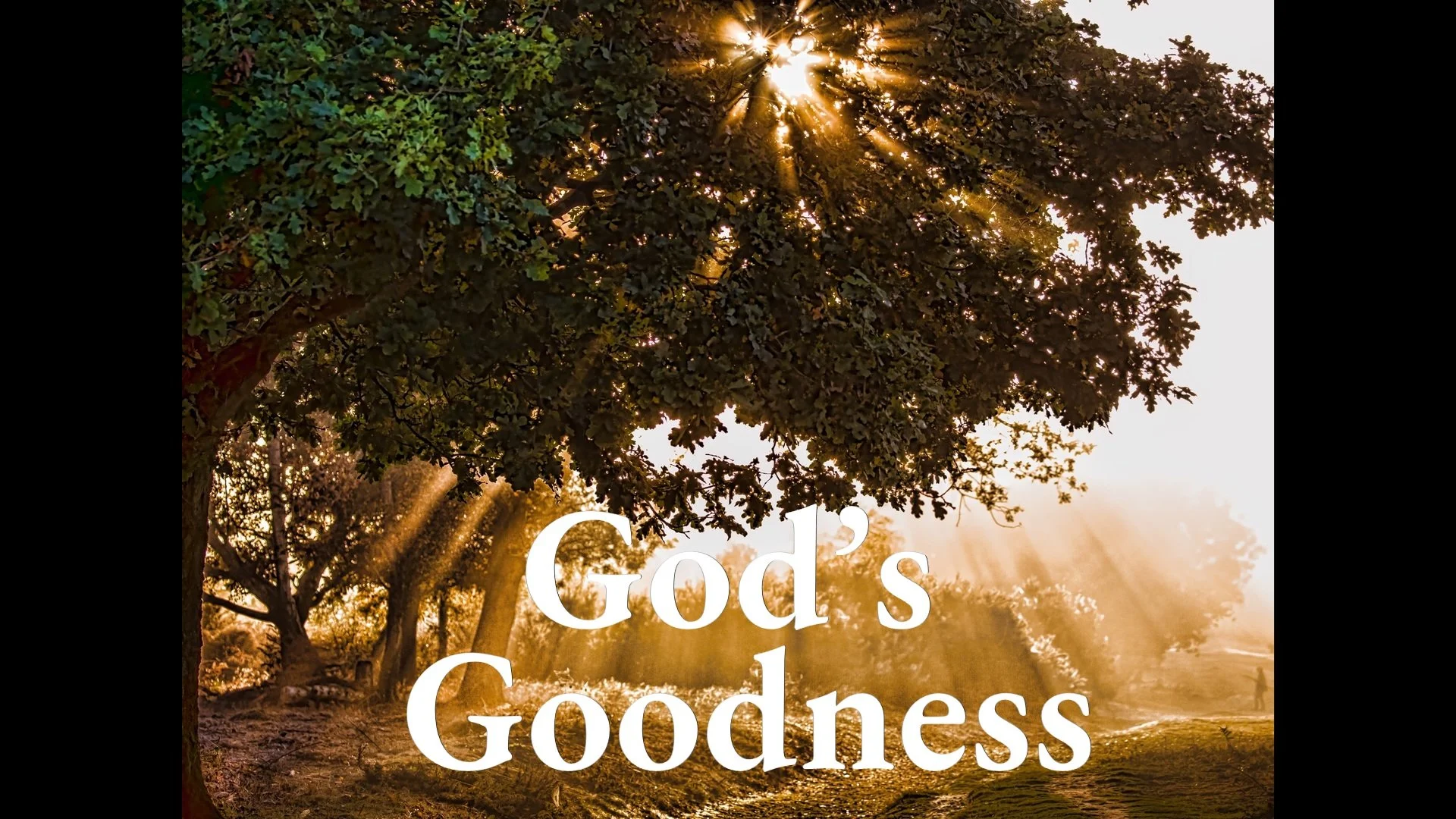 God's Goodness
