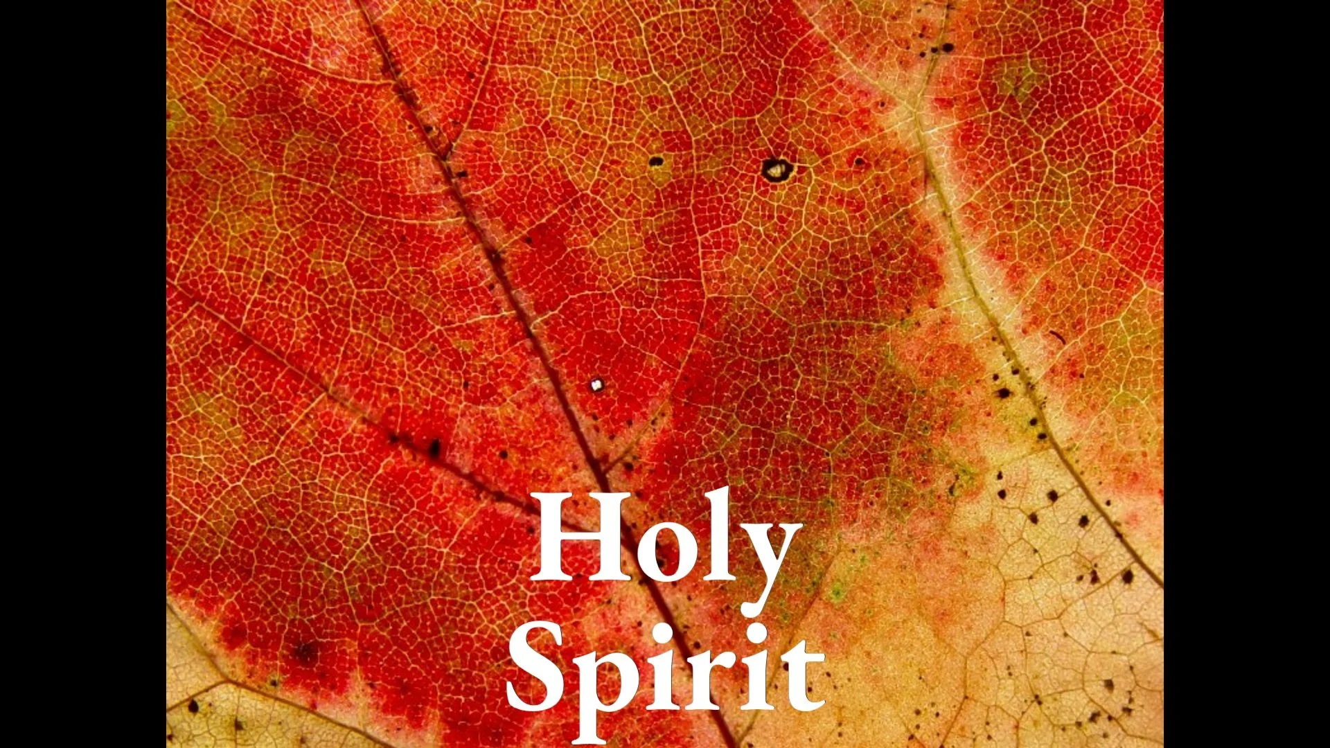 Holy Spirit