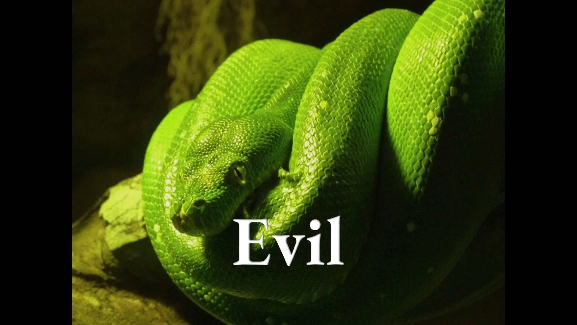 Evil