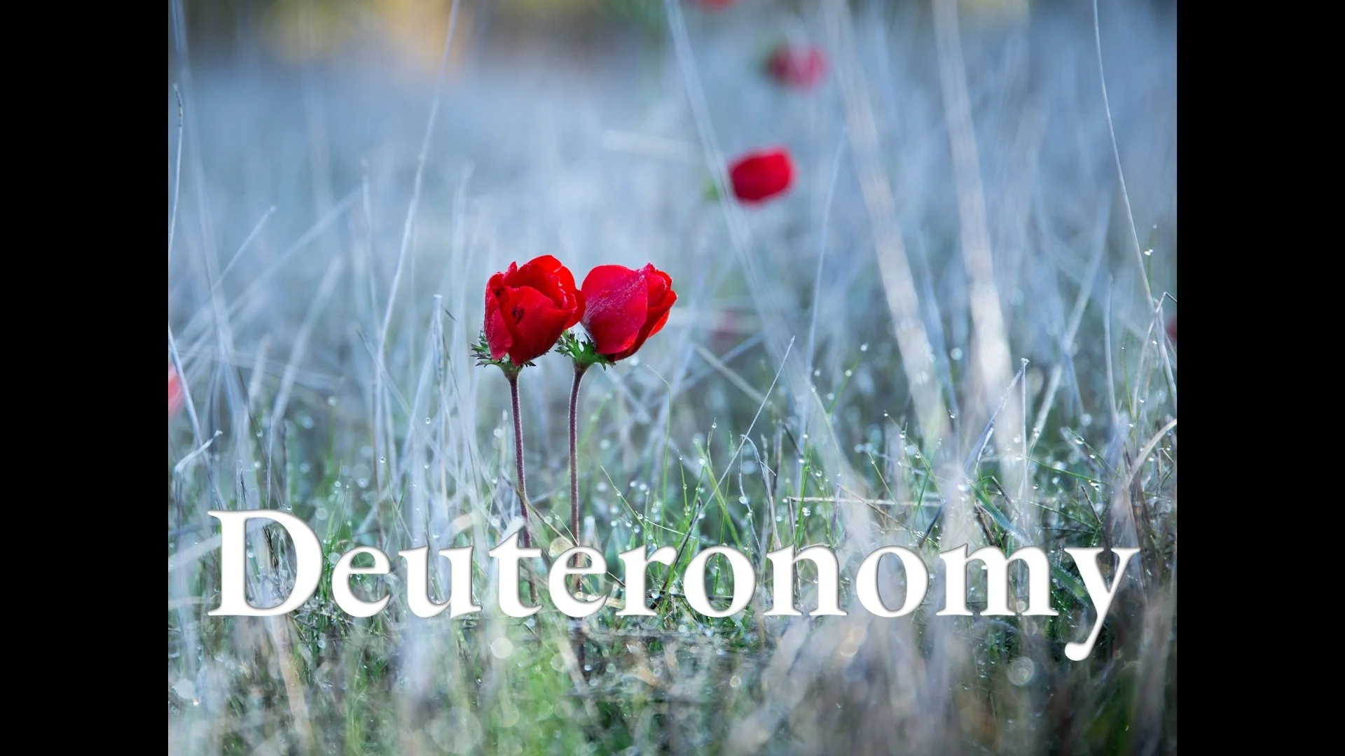 Deuteronomy