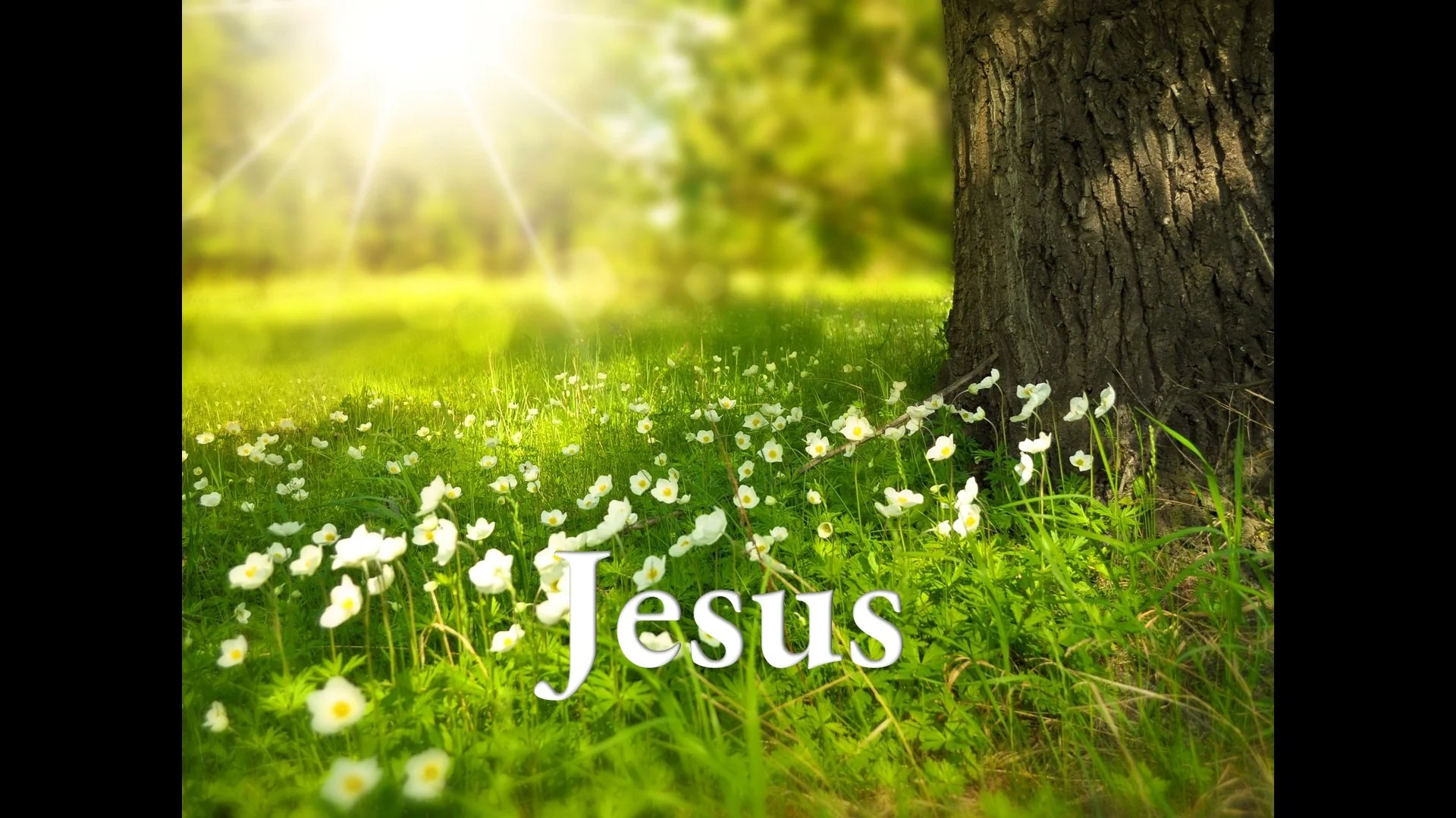 Jesus