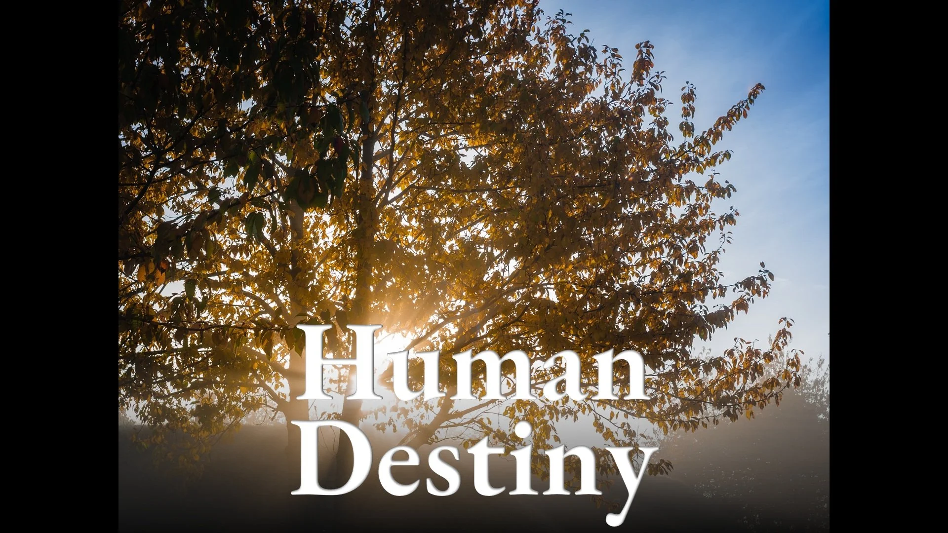 Human Destiny