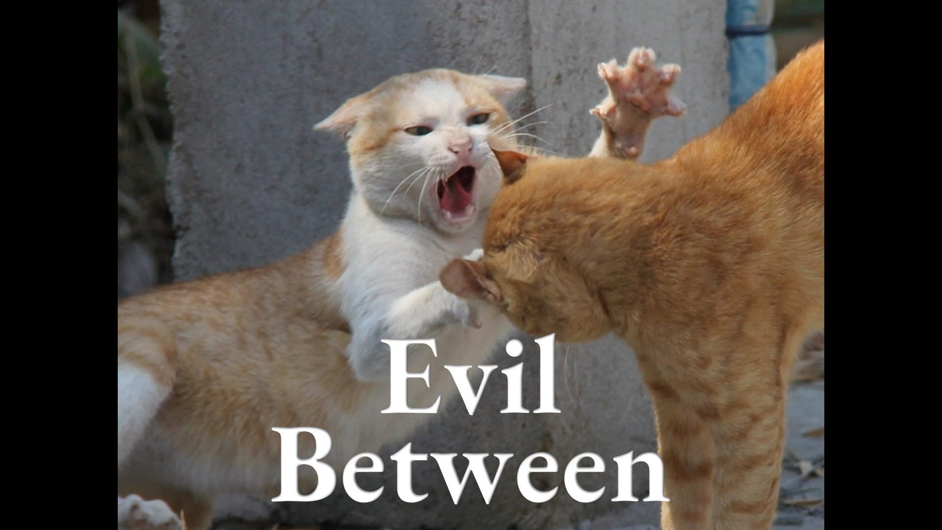 Evil Between