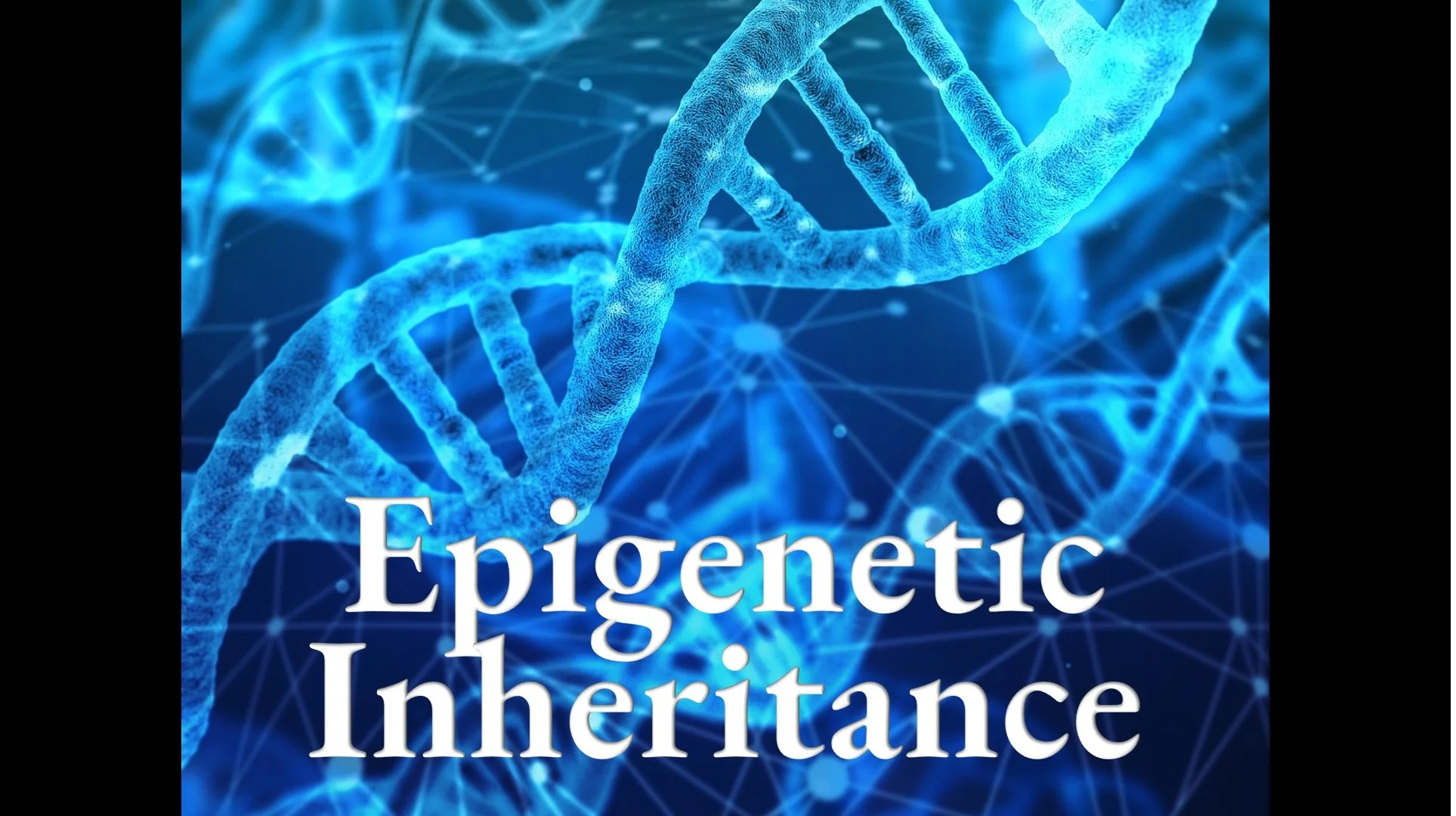 Epigenetic Inheritance