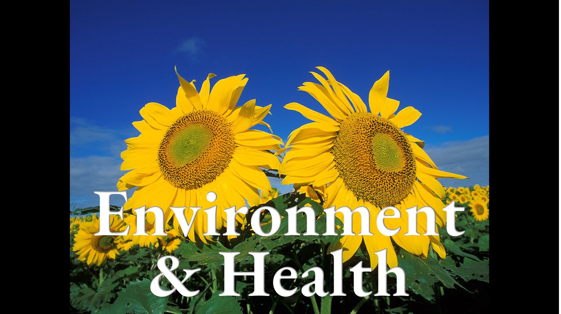 Env & Health