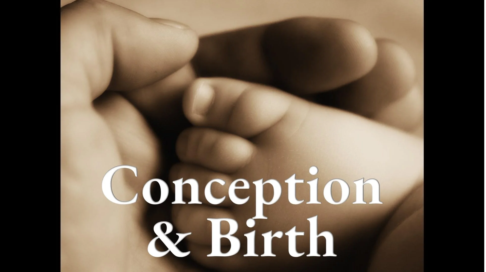Conception &amp; Birth