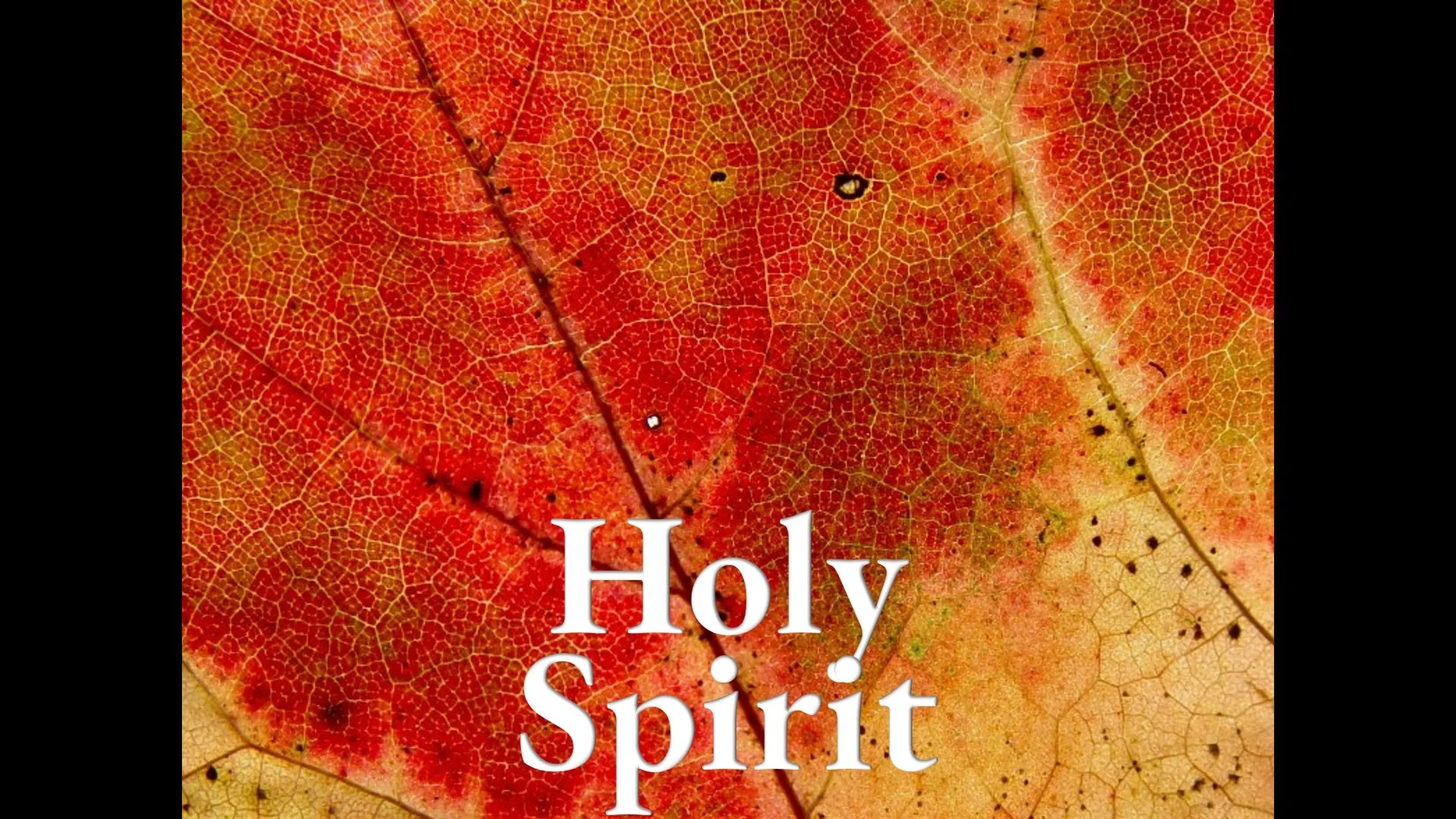 Holy Spirit