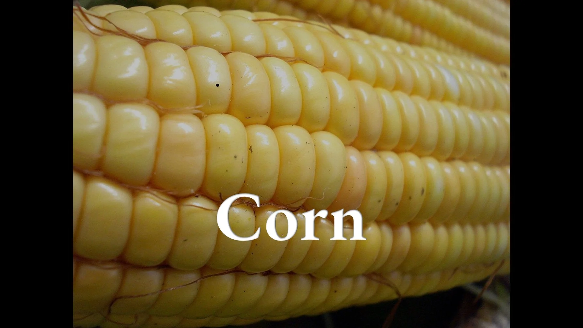 Corn