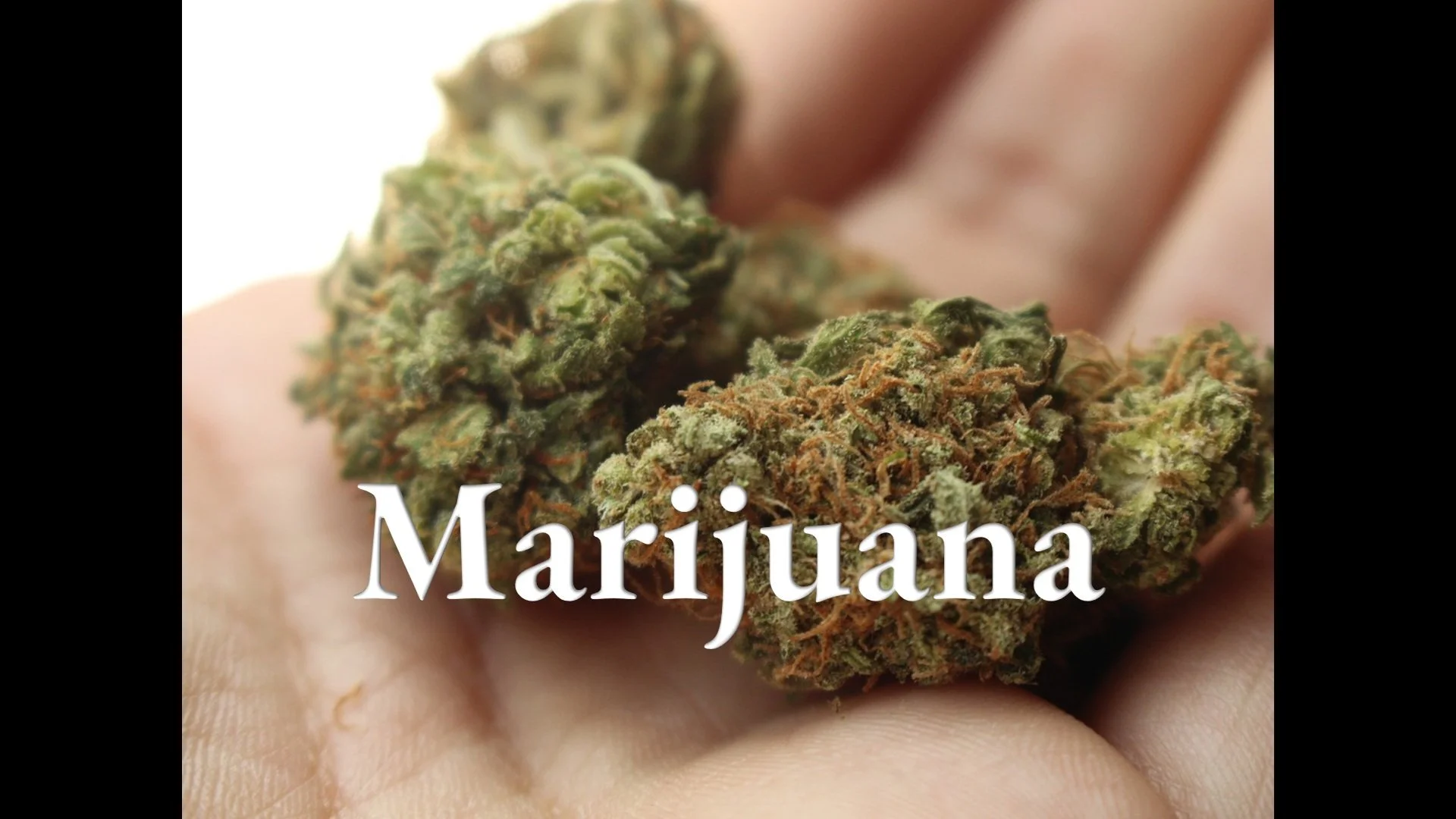 Marijuana