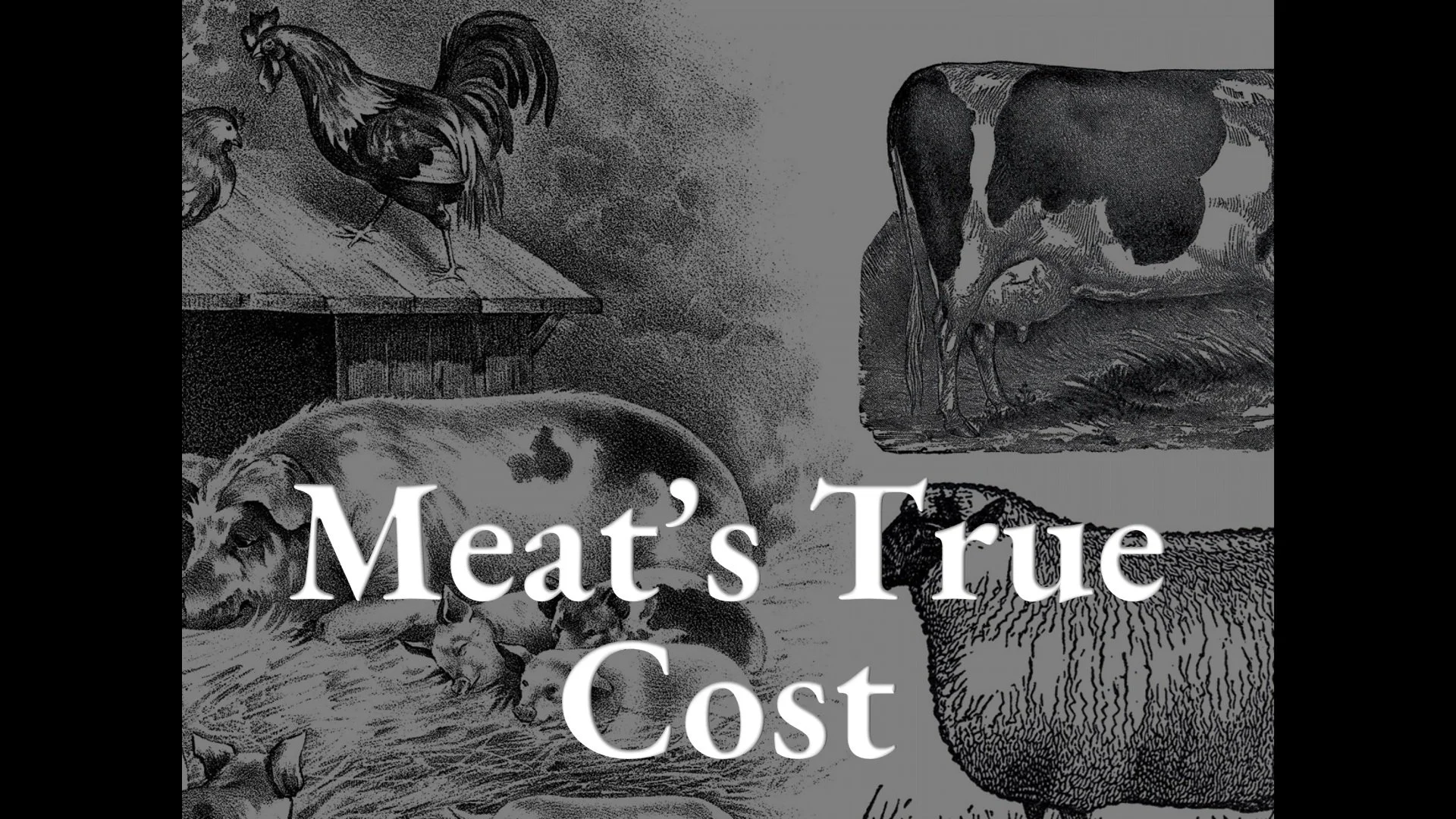 Meat's True Cost