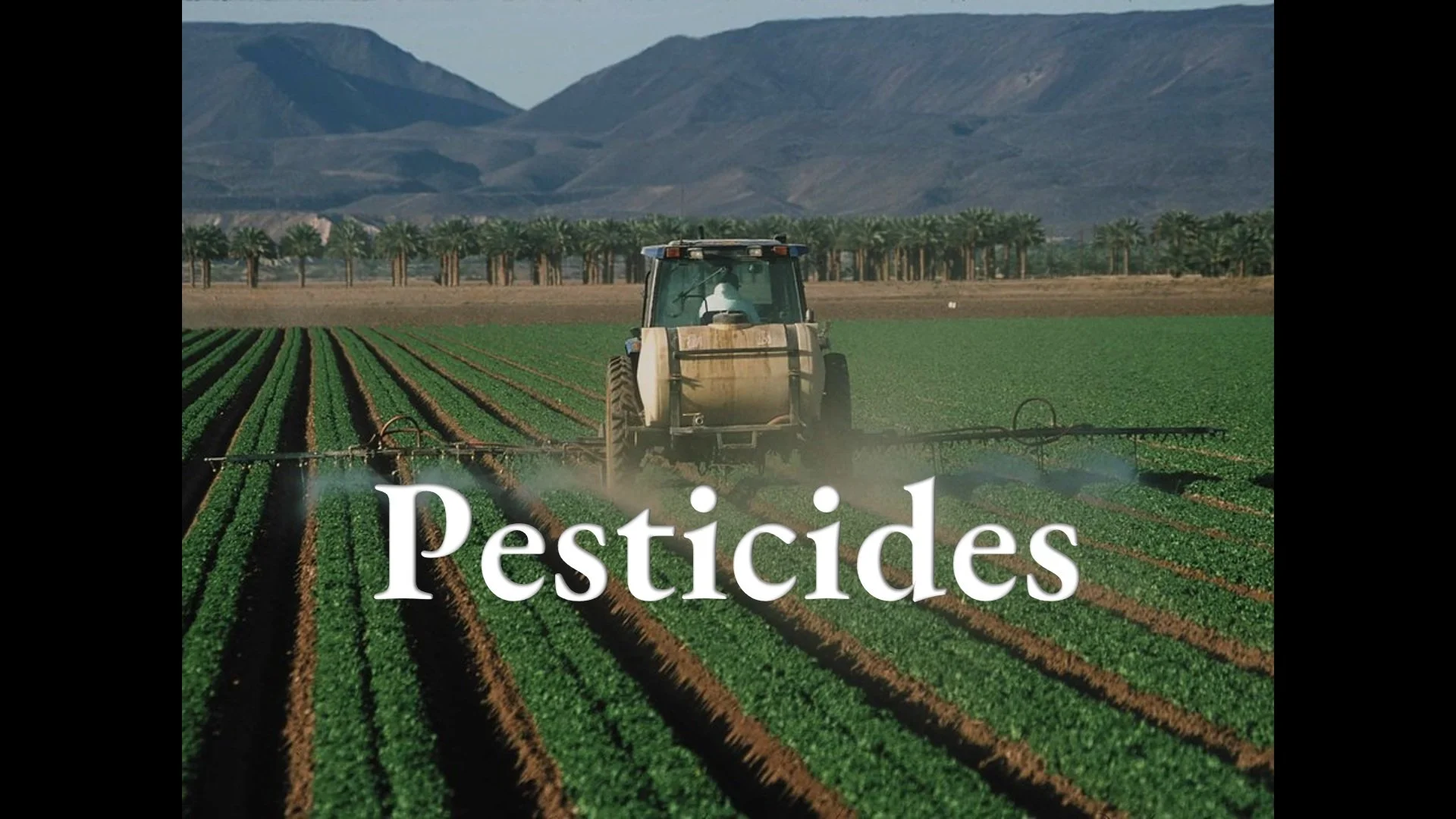 Pesticides