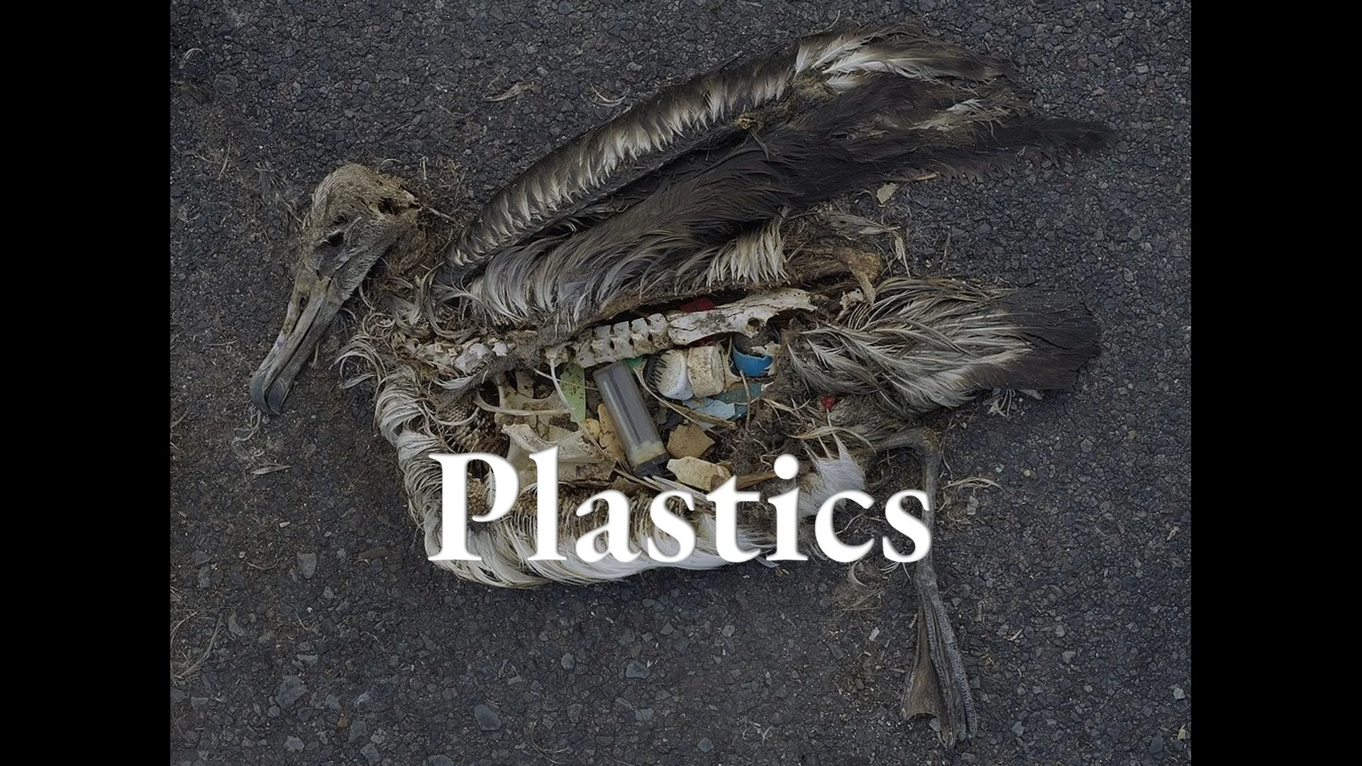 Plastics