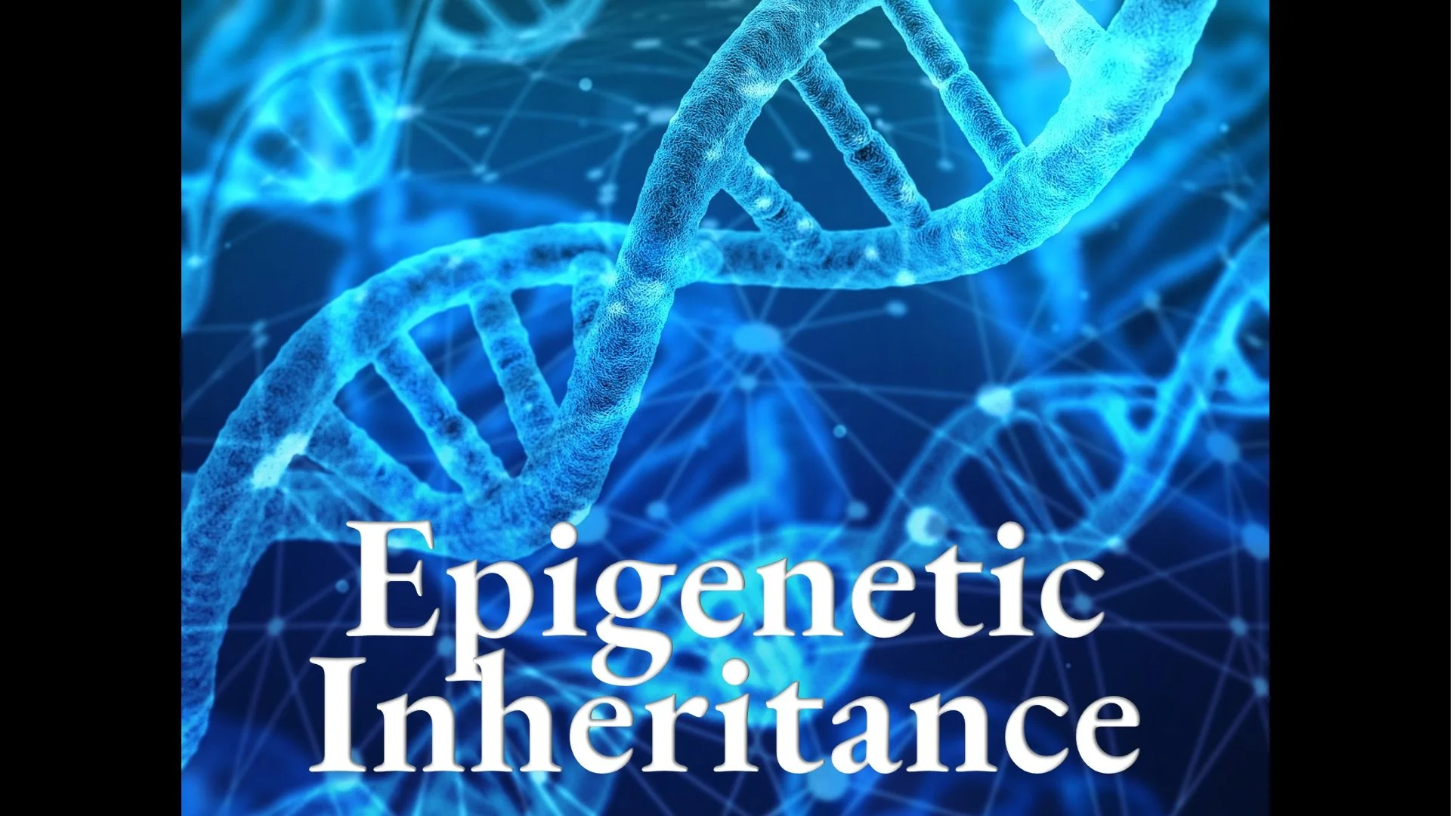 Epigenetic Inheritance