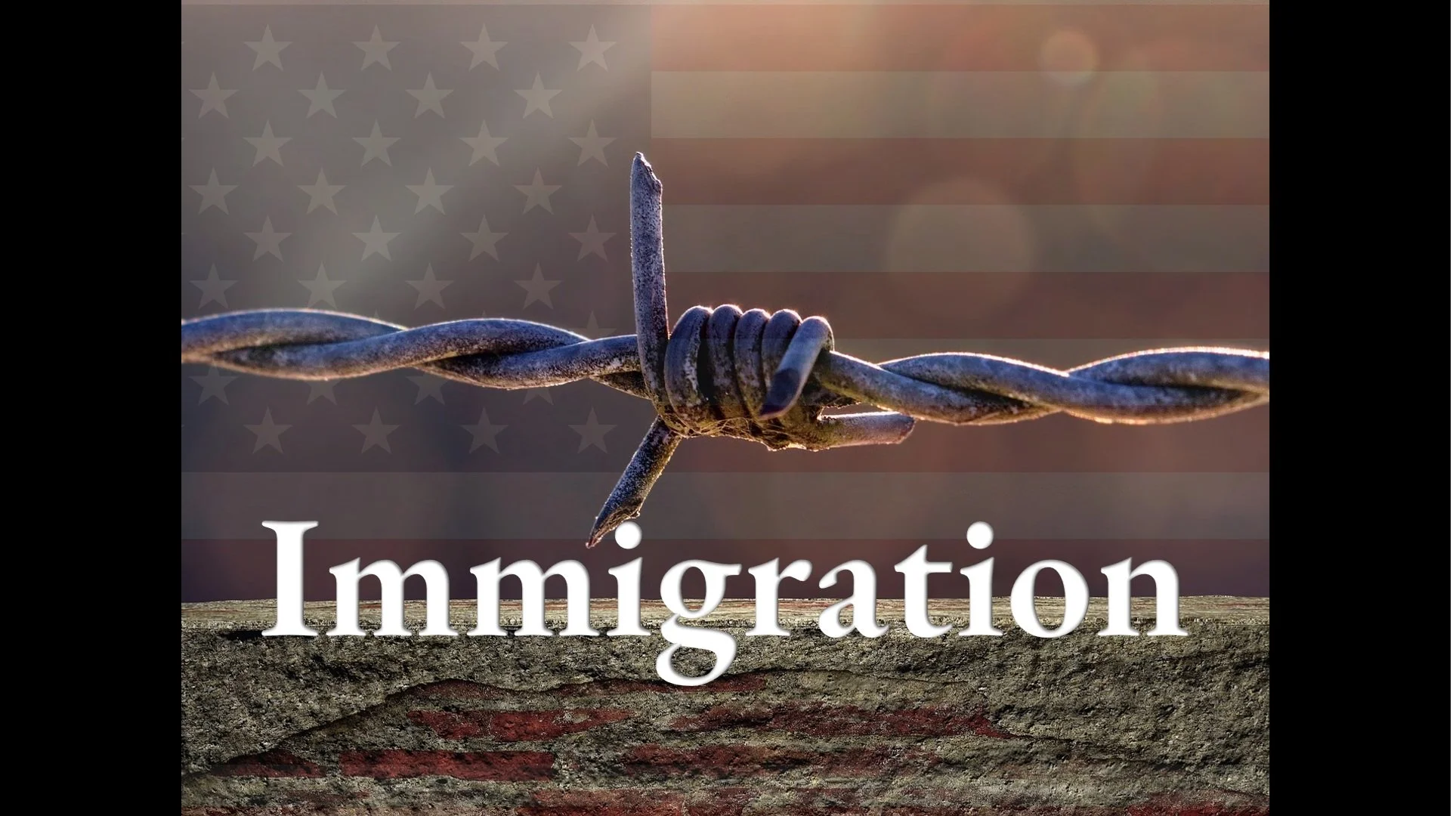 race-immigration.jpg