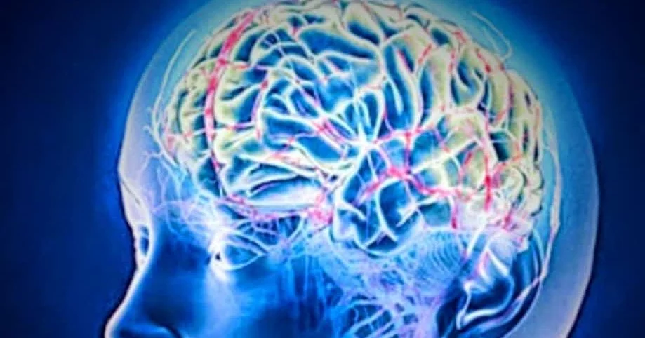 Neuroscience, Emotional Health, Human Becoming, and Jesus