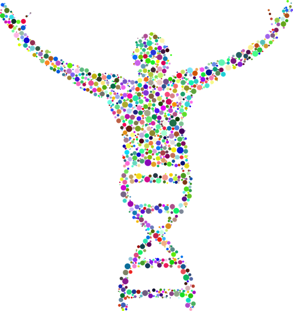 conv-human-dna-2789567_640.png