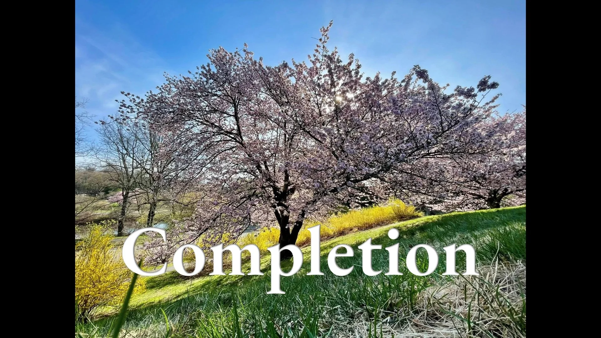 Completion