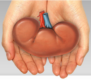 Jesus Saves Us from the Toxins Within – My Kidney Story