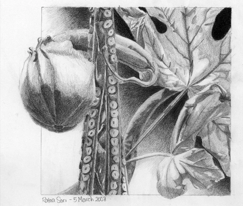 Graphite on Strathmore paper - 2008