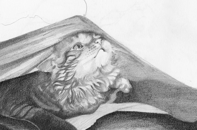 Graphite on Strathmore paper - 2009
