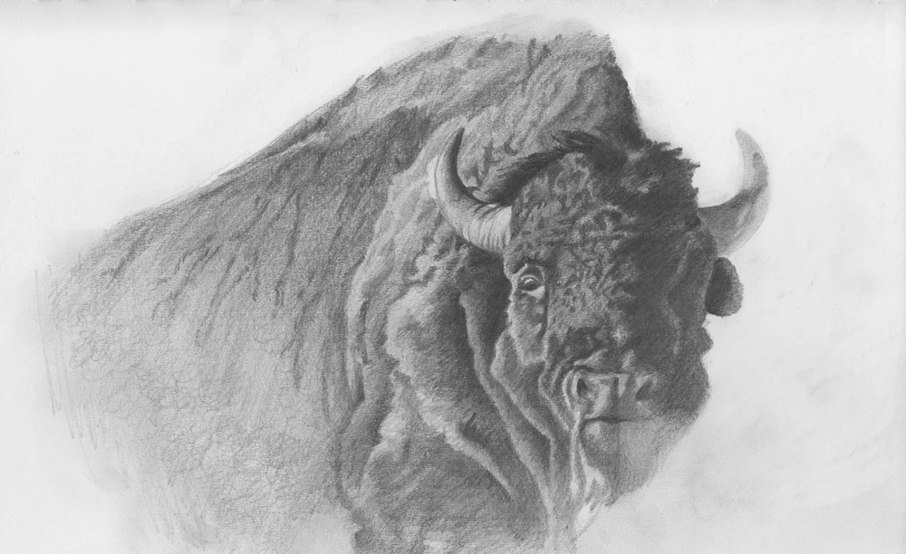 Graphite on paper - 2014