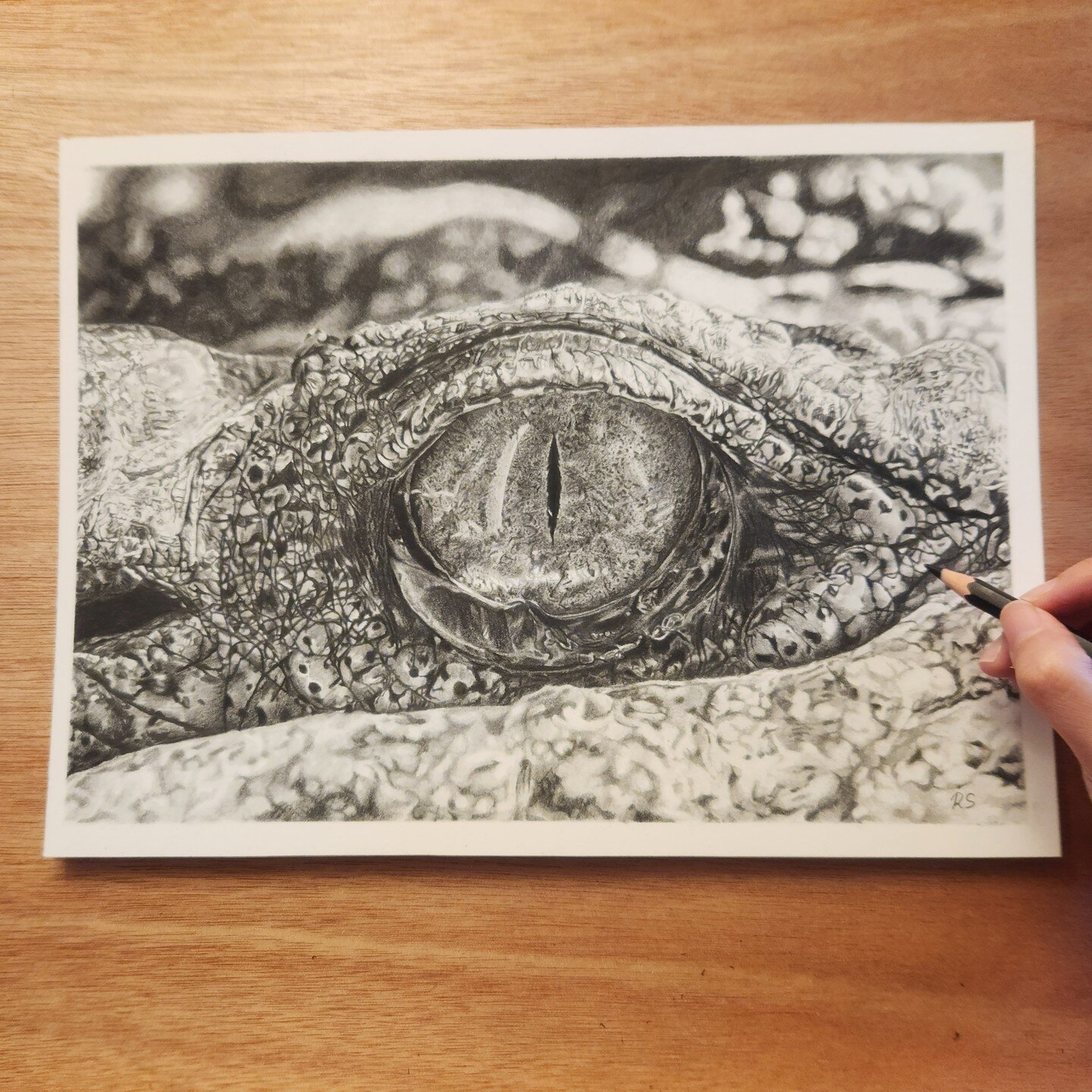 ❤️ &quot;Scope of Sight&quot; is completed!

9x12 inch - Graphite on Legion Stormhenge

#alligator #alligatoreye #graphitedrawing #cornea #wildlifeart #ratnasari.art