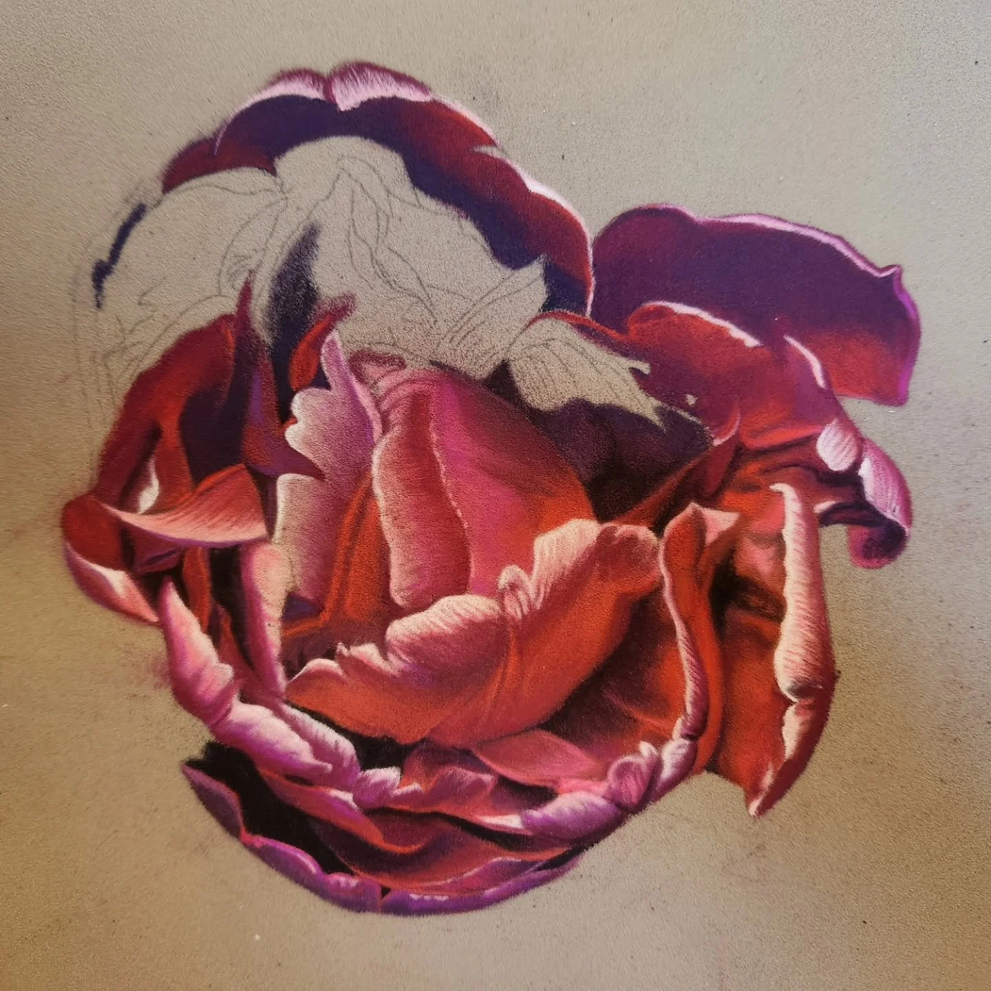 Pastel exploration has been really fun and refreshing in comparison to the monotone of graphite!