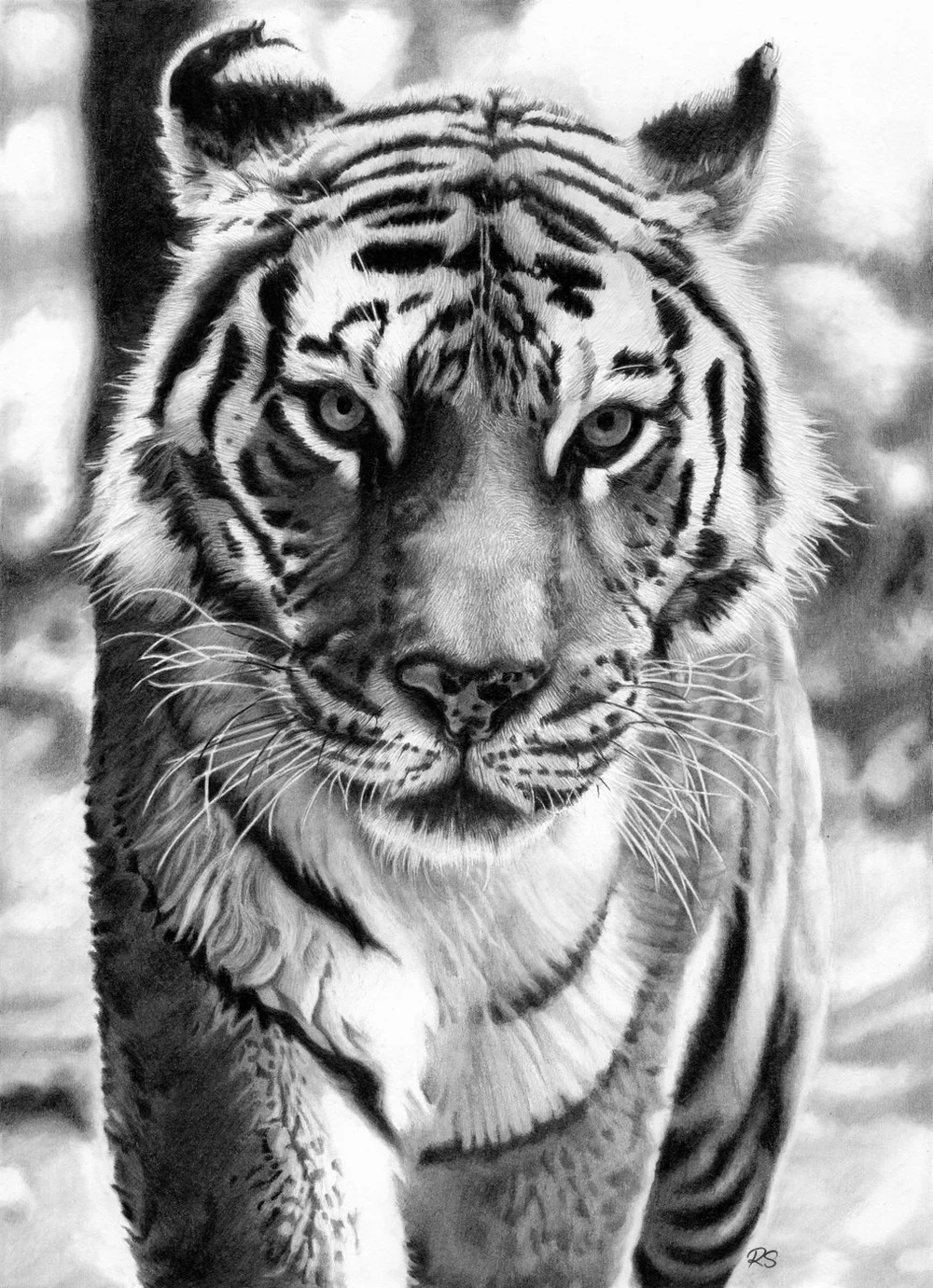 Sumatran tiger wildlife art by ratna sari