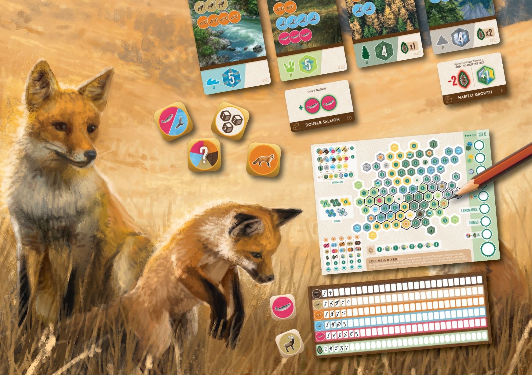 HILLS BANNER CLIP.JPG