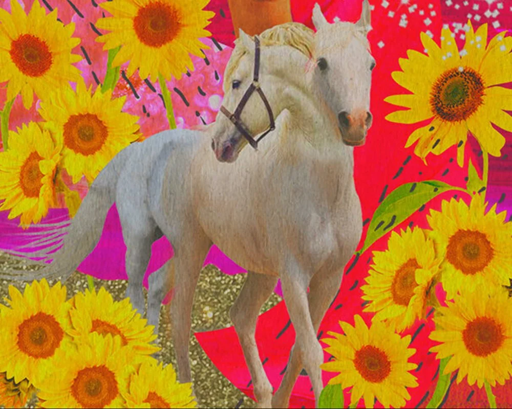 print header image .jpg