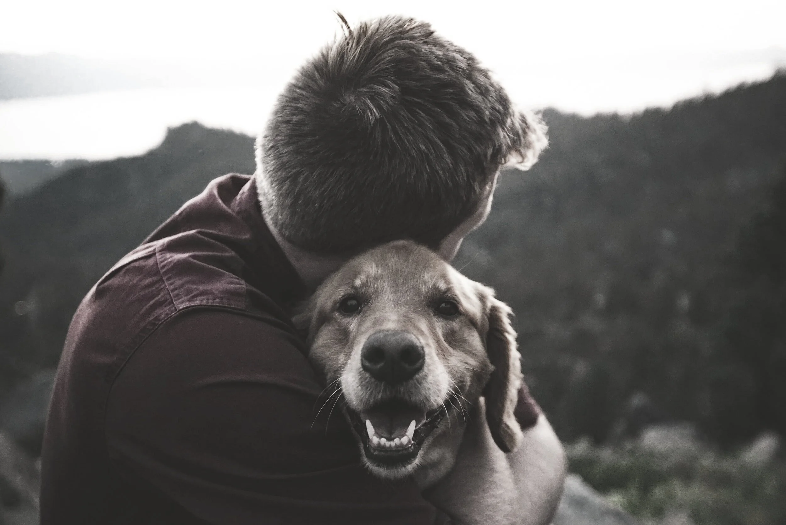 Man's Best Friend by Pat Turman