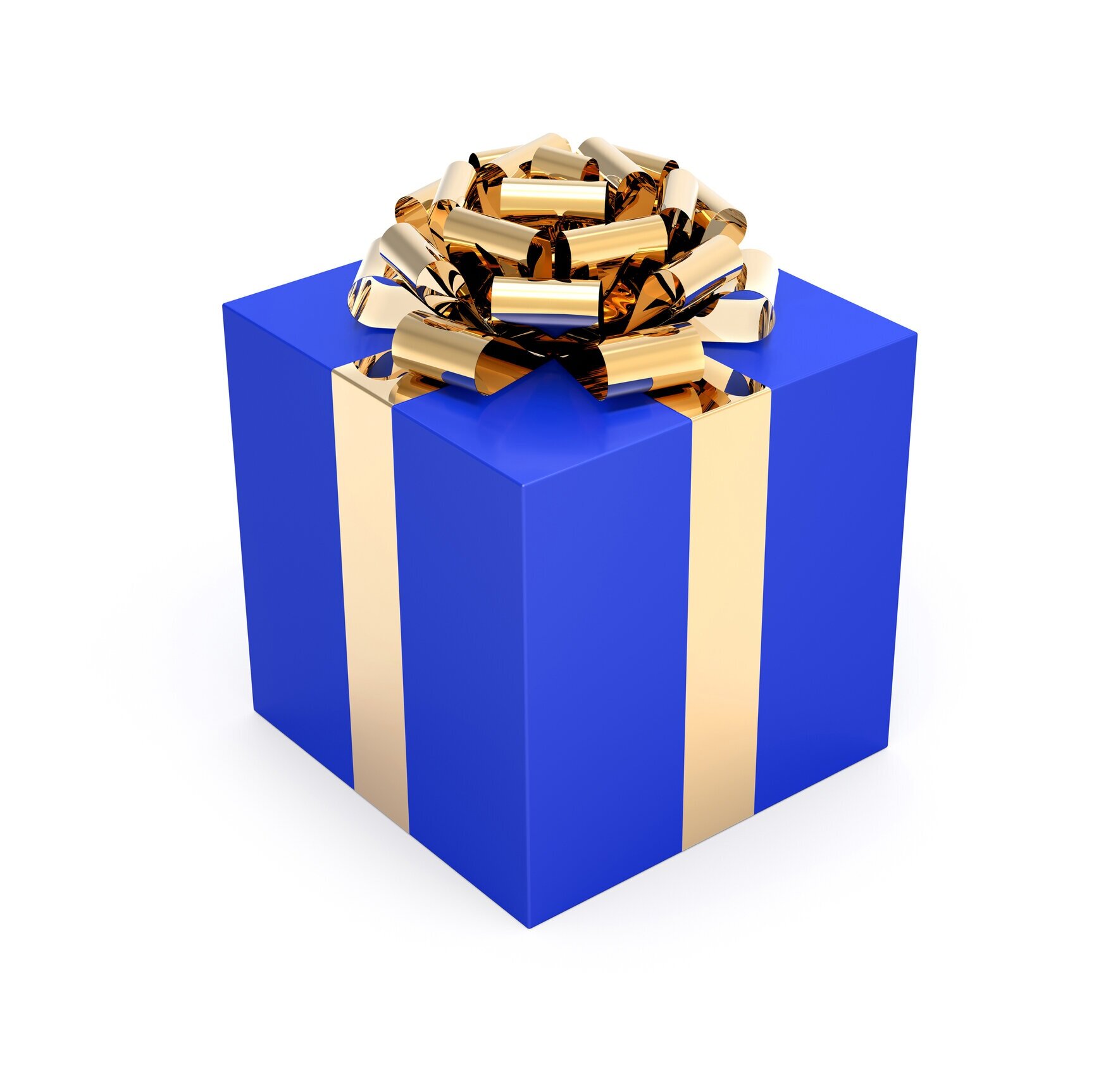 The Christmas Present by Pat Turman