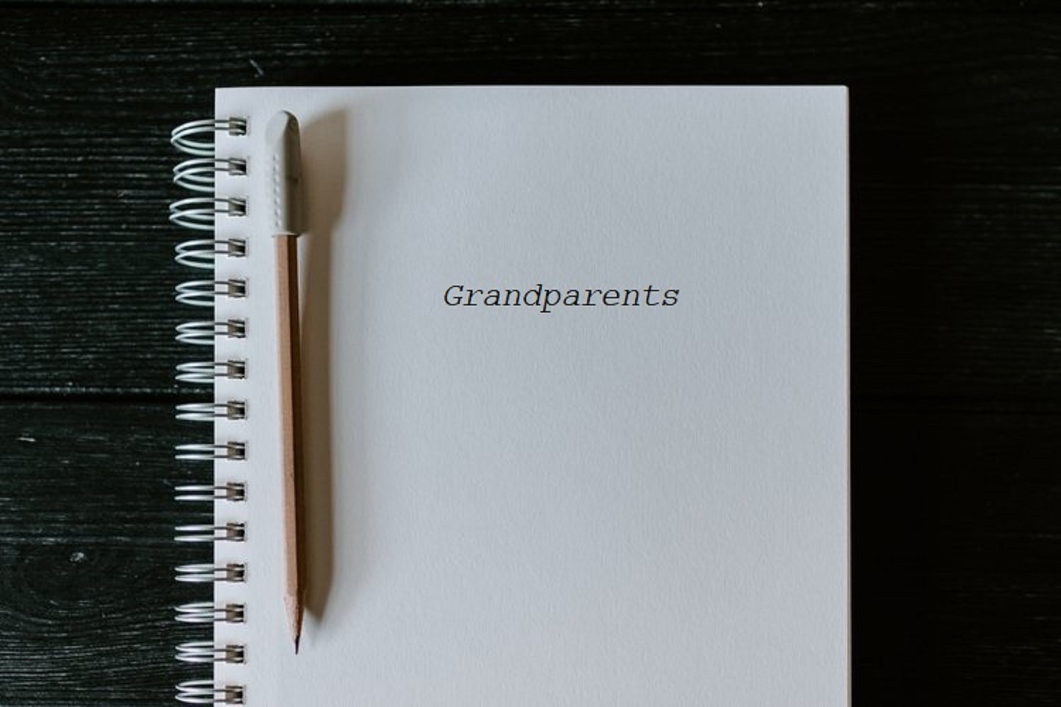 Grandparents by Pat Turman
