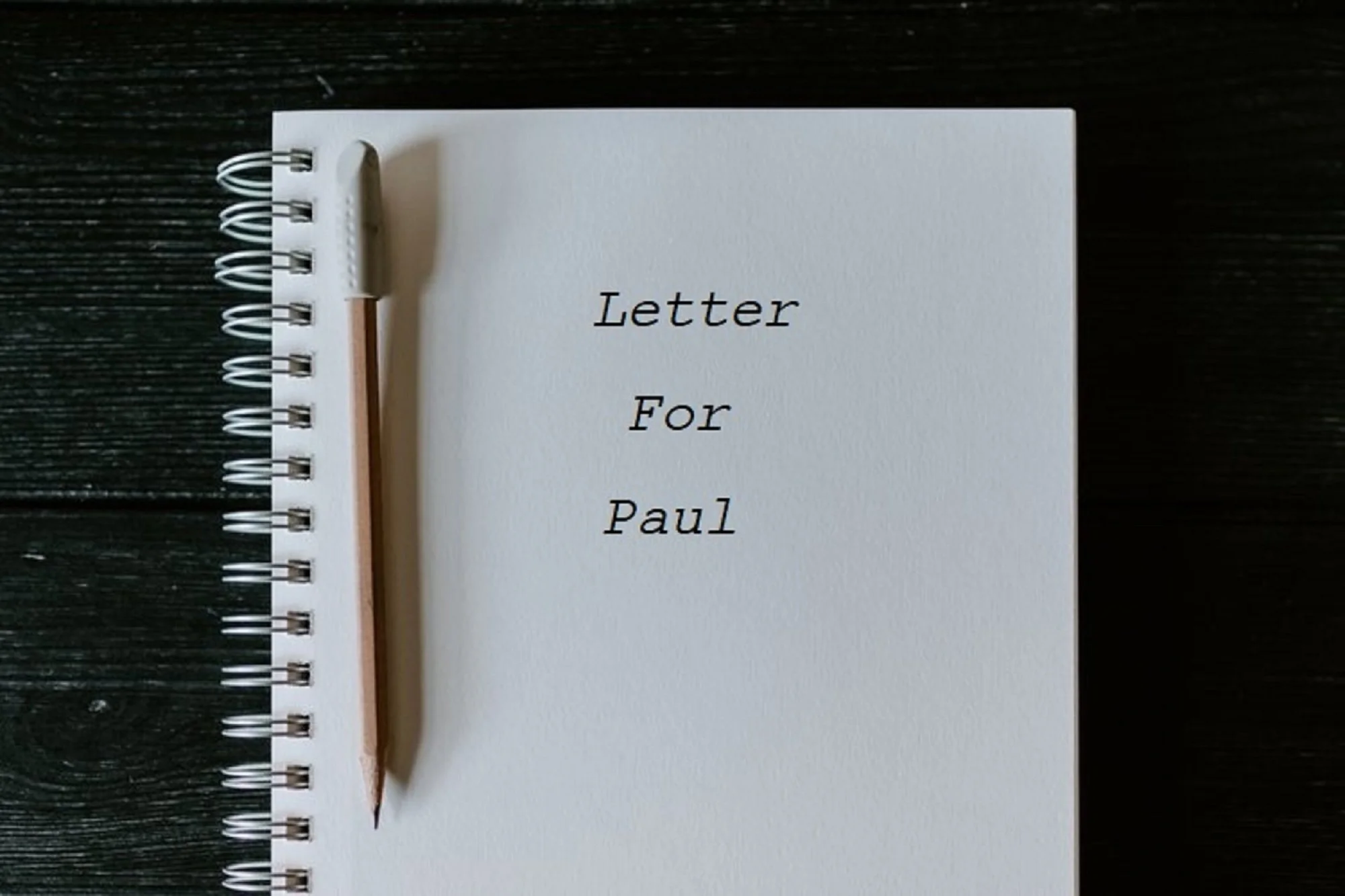 Letter to Paul Newman by Pat Turman