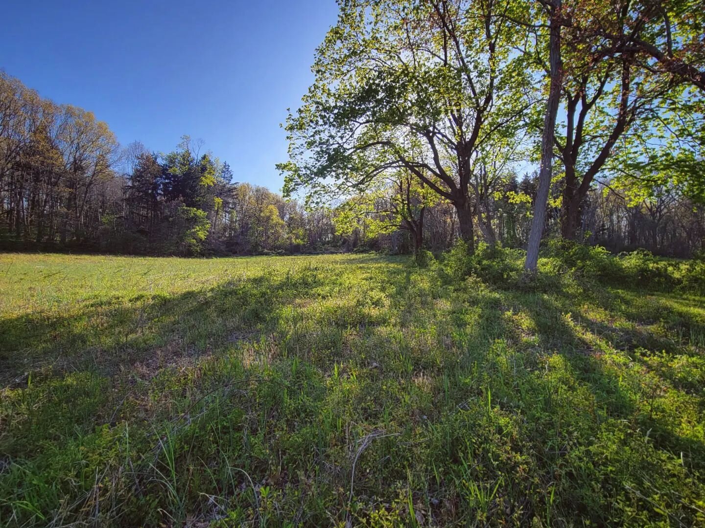 Gathering inspiration in shades of green and blue
.
.
#njisbeautiful #monmouthcounty #ecology #biophilicdesign #optoutside